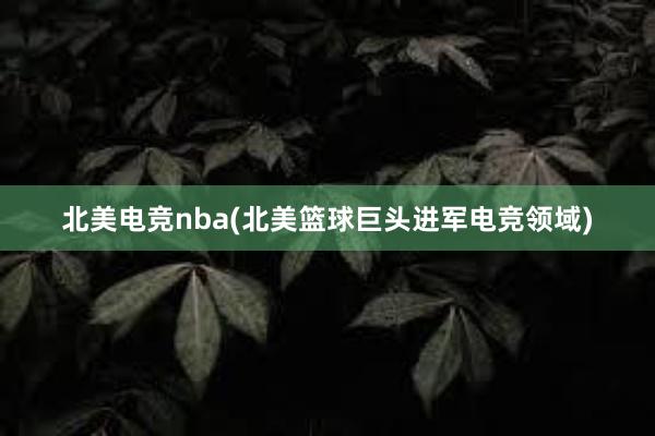 北美电竞nba(北美篮球巨头进军电竞领域)