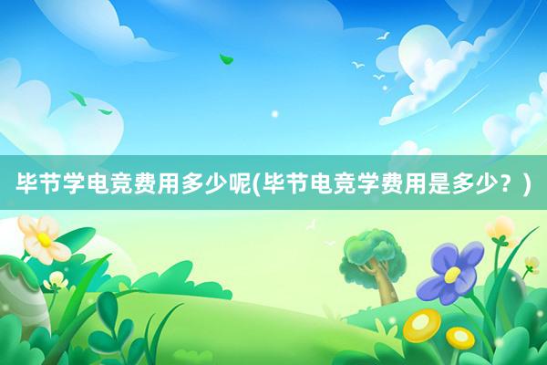 毕节学电竞费用多少呢(毕节电竞学费用是多少？)