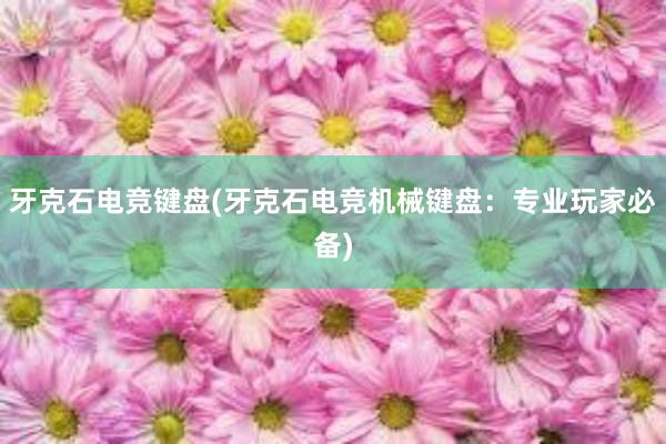 牙克石电竞键盘(牙克石电竞机械键盘：专业玩家必备)