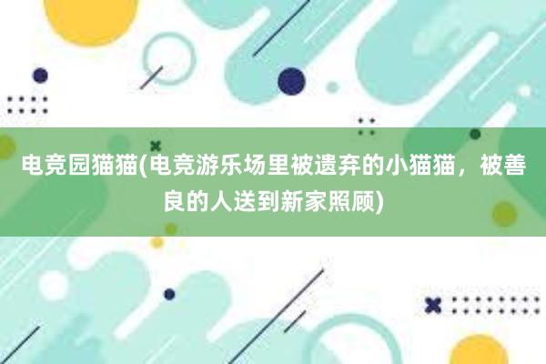 电竞园猫猫(电竞游乐场里被遗弃的小猫猫，被善良的人送到新家照顾)