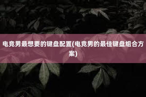 电竞男最想要的键盘配置(电竞男的最佳键盘组合方案)