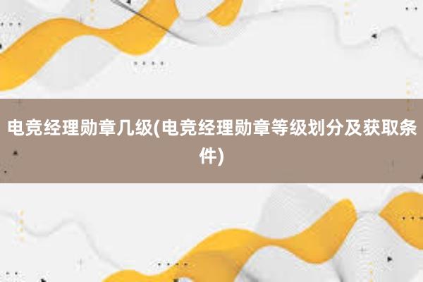 电竞经理勋章几级(电竞经理勋章等级划分及获取条件)