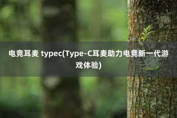 电竞耳麦 typec(Type-C耳麦助力电竞新一代游戏体验)