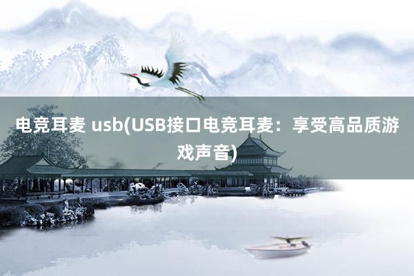 电竞耳麦 usb(USB接口电竞耳麦：享受高品质游戏声音)