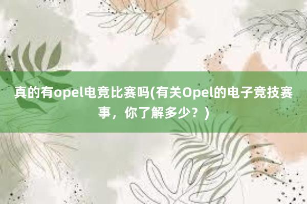 真的有opel电竞比赛吗(有关Opel的电子竞技赛事，你了解多少？)