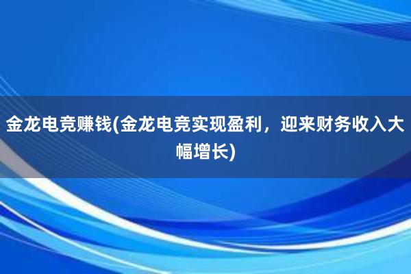 金龙电竞赚钱(金龙电竞实现盈利，迎来财务收入大幅增长)