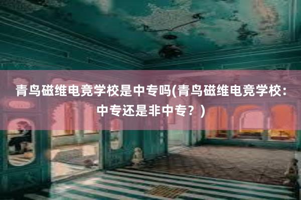 青鸟磁维电竞学校是中专吗(青鸟磁维电竞学校：中专还是非中专？)