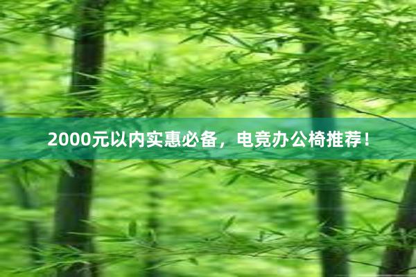 2000元以内实惠必备，电竞办公椅推荐！