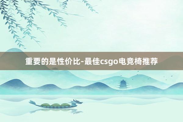 重要的是性价比-最佳csgo电竞椅推荐