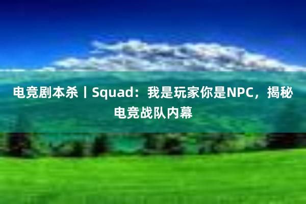 电竞剧本杀丨Squad：我是玩家你是NPC，揭秘电竞战队内幕