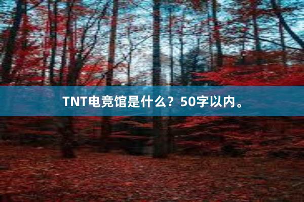 TNT电竞馆是什么？50字以内。