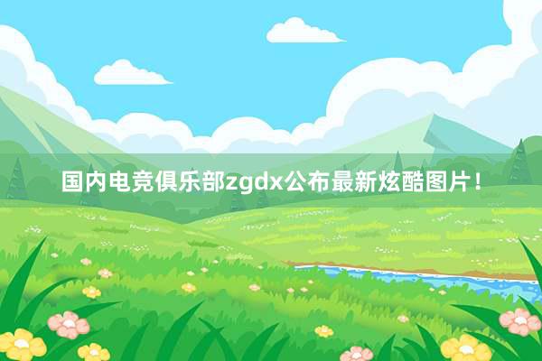 国内电竞俱乐部zgdx公布最新炫酷图片！