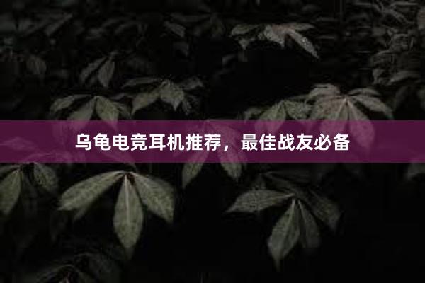 乌龟电竞耳机推荐，最佳战友必备