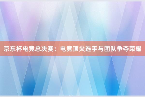 京东杯电竞总决赛：电竞顶尖选手与团队争夺荣耀