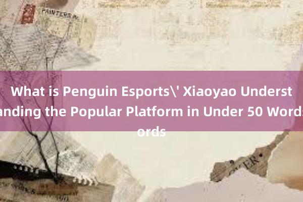 What is Penguin Esports' Xiaoyao Understanding the Popular Platform in Under 50 Words