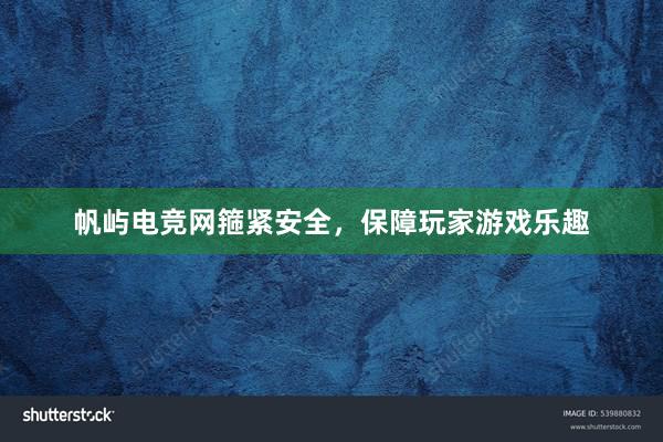 帆屿电竞网箍紧安全，保障玩家游戏乐趣