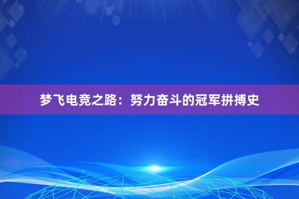 梦飞电竞之路：努力奋斗的冠军拼搏史