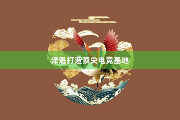 泽魁打造顶尖电竞基地