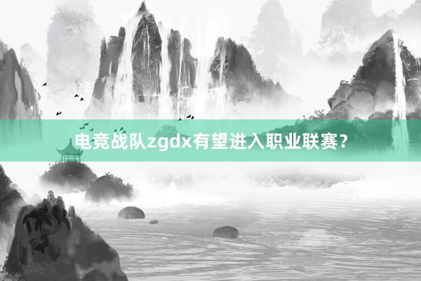 电竞战队zgdx有望进入职业联赛？