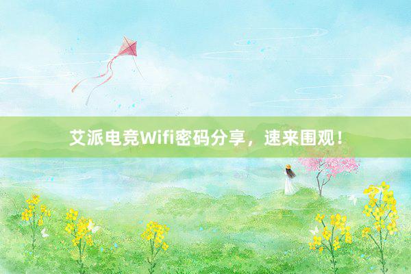 艾派电竞Wifi密码分享，速来围观！