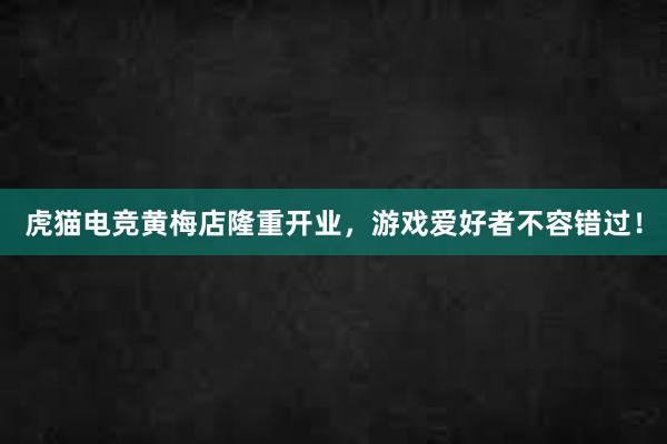 虎猫电竞黄梅店隆重开业，游戏爱好者不容错过！