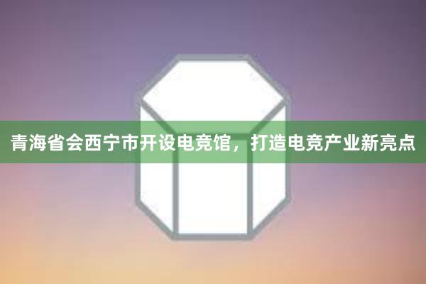 青海省会西宁市开设电竞馆，打造电竞产业新亮点